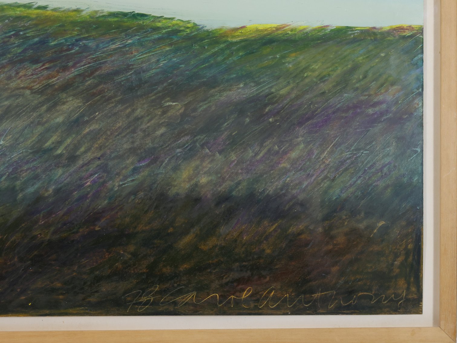 Image for Carol Anthony (Born 1943)