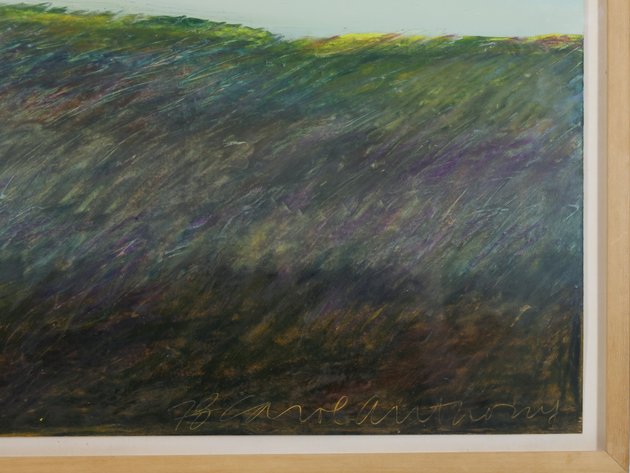 Image for Carol Anthony (Born 1943)