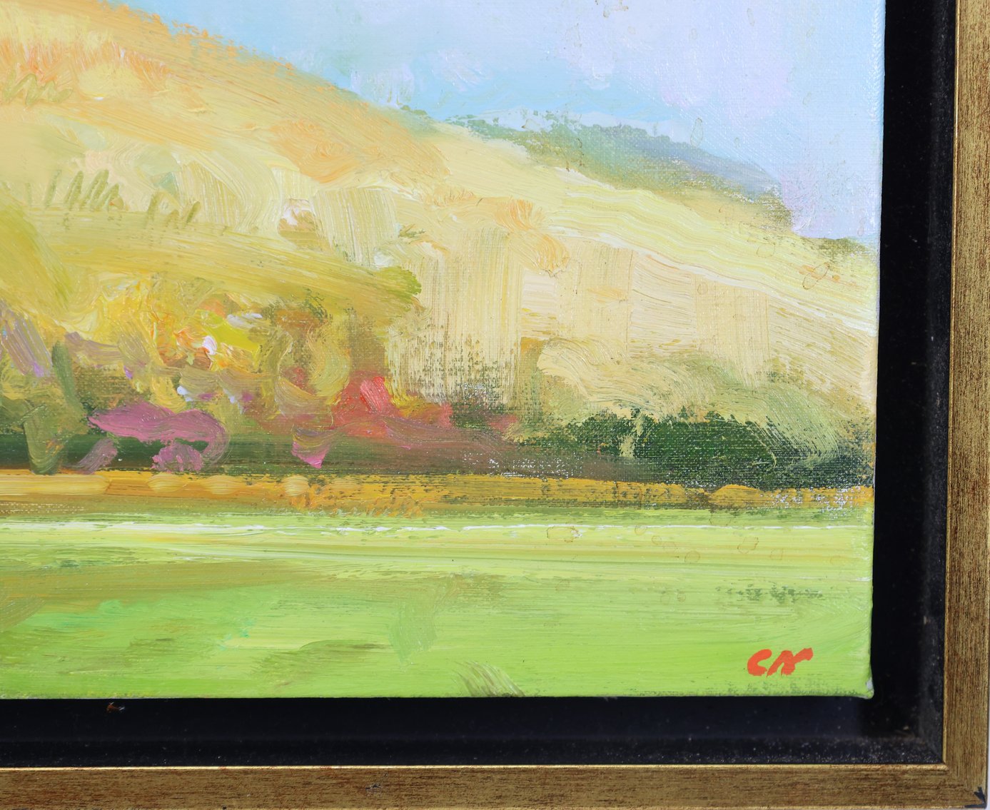 Image for Chris Nissen (Born 1949)