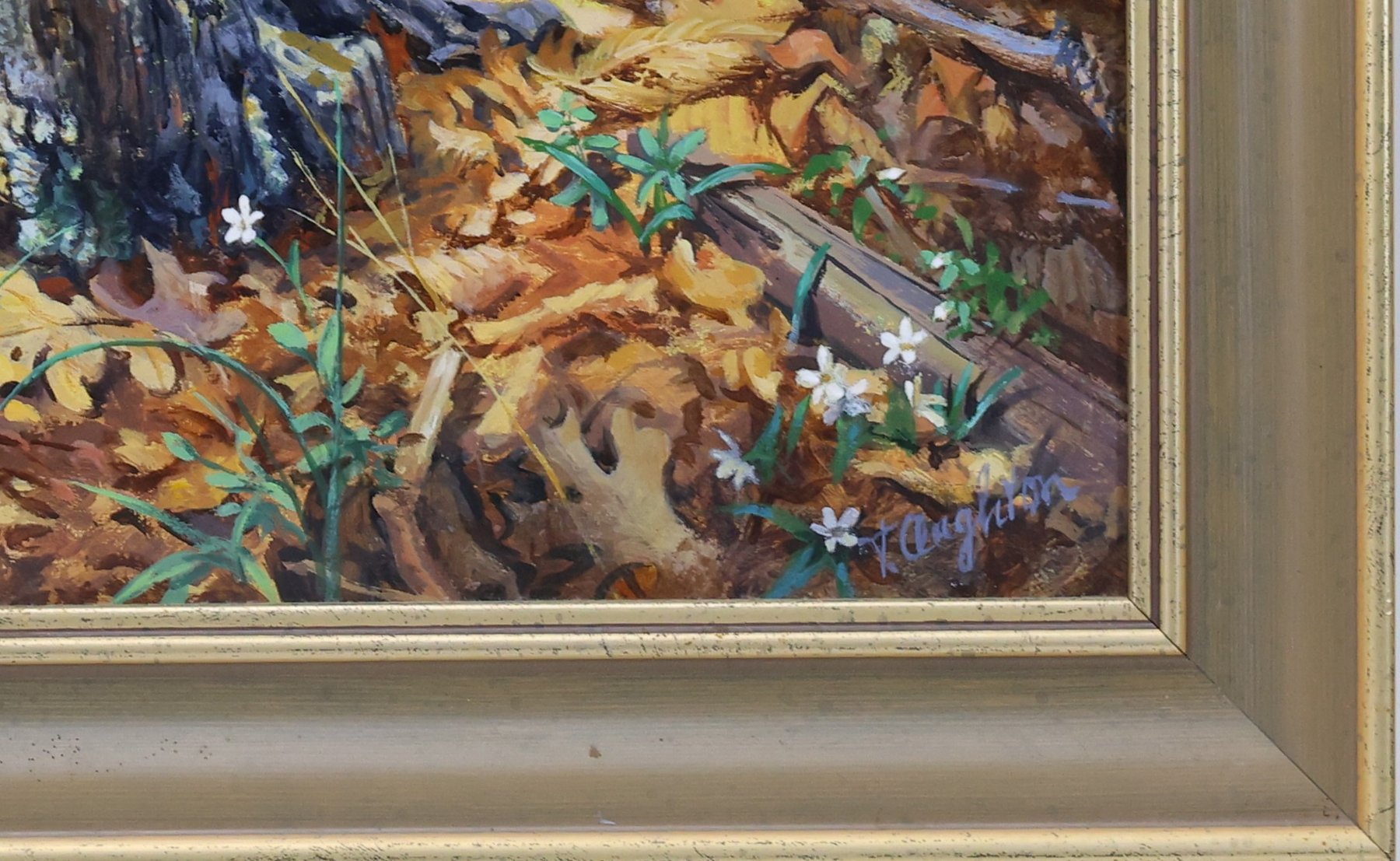 Image for Taylor Oughton (b. 1925)