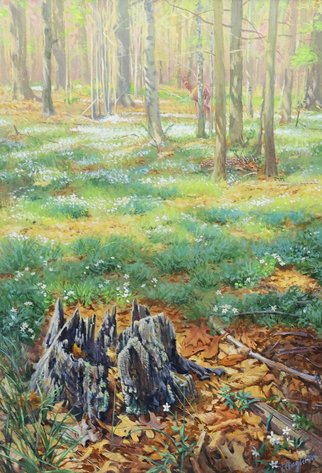 Image for Taylor Oughton (b. 1925)