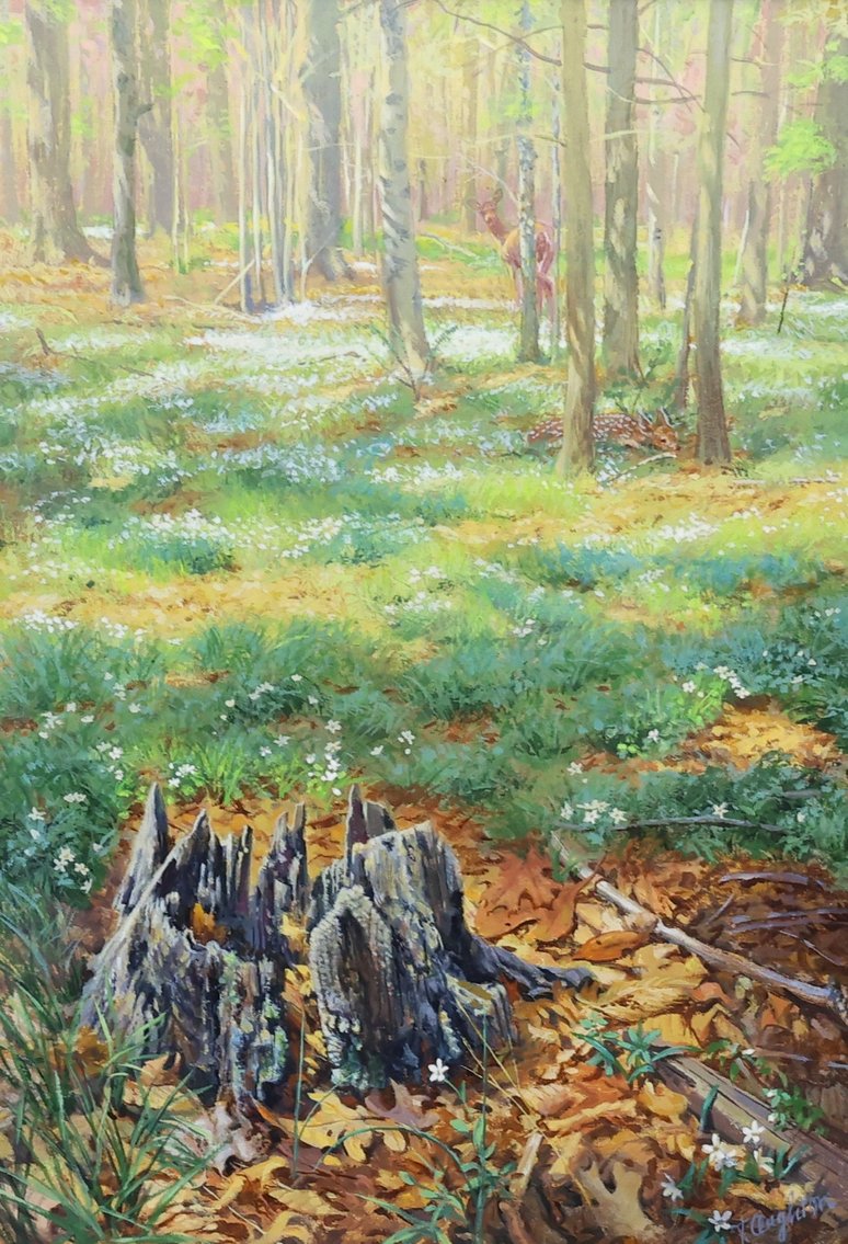 Image for Taylor Oughton (b. 1925)