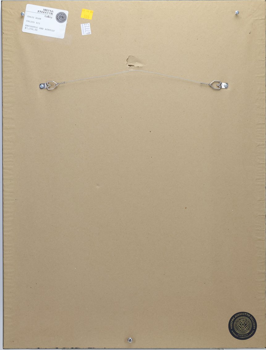 Image for Craig Alan (b. 1971)