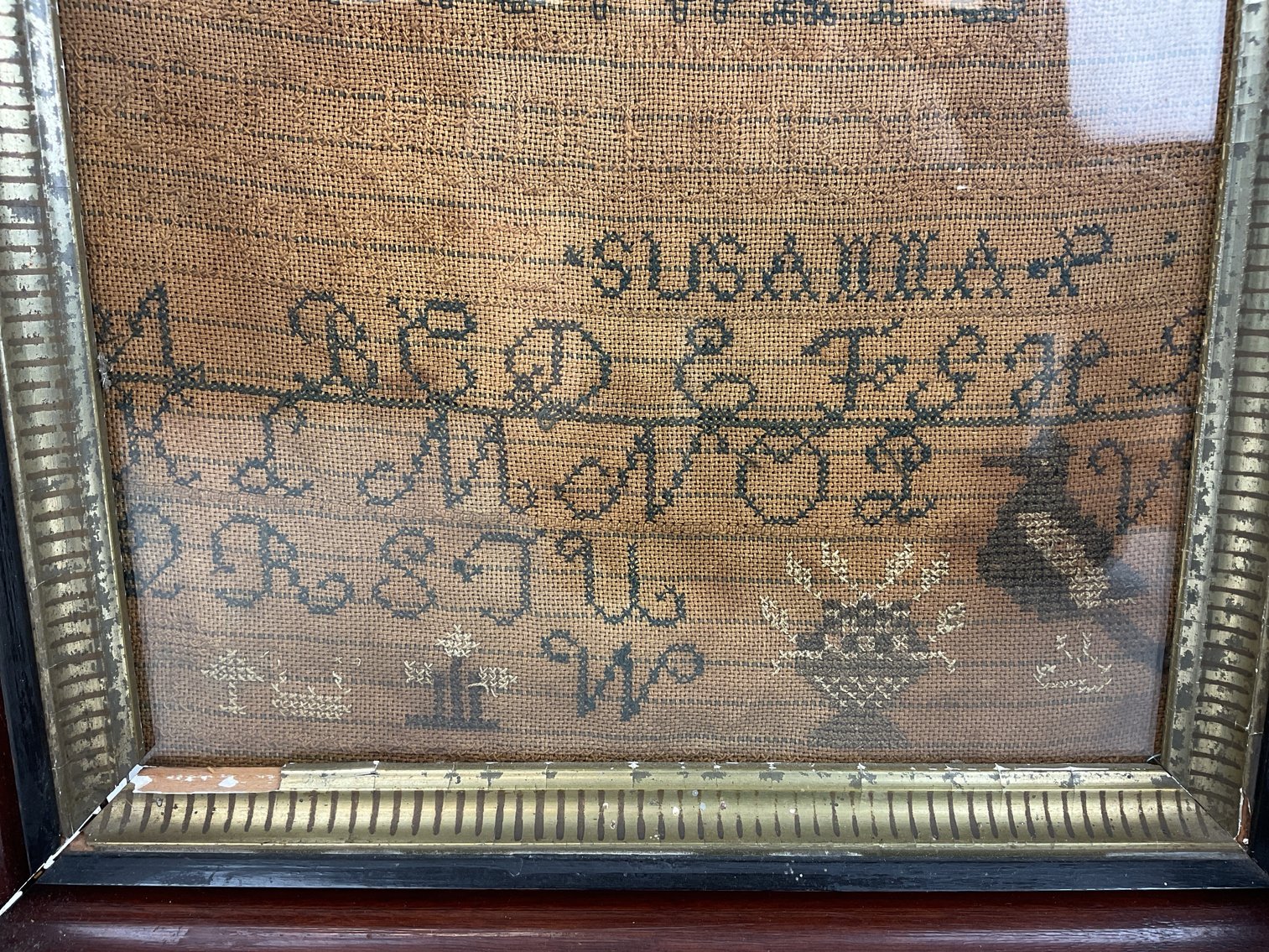 Image for Framed Sampler