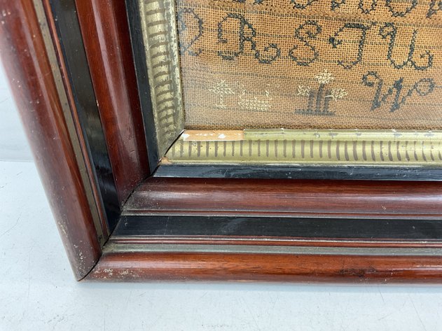 Image for Framed Sampler