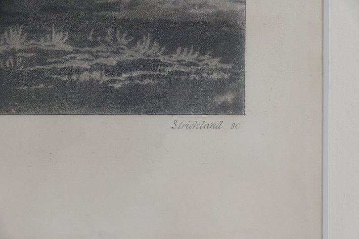 Image for Antique Engraving
