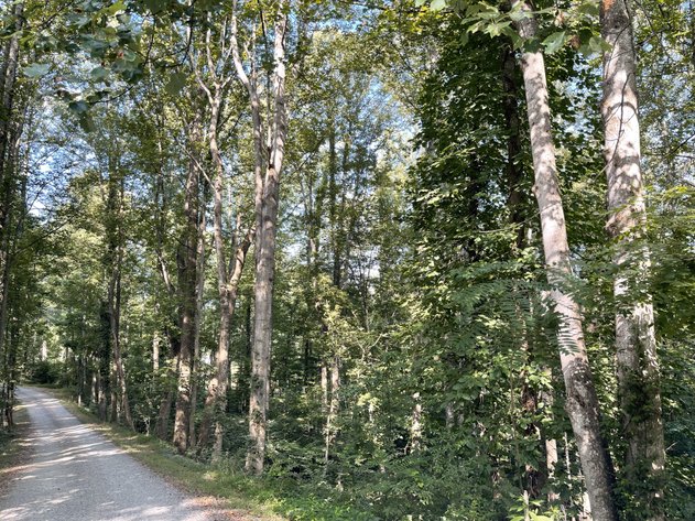 Image for 00 Sontag Road  Rocky Mount, VA 24151