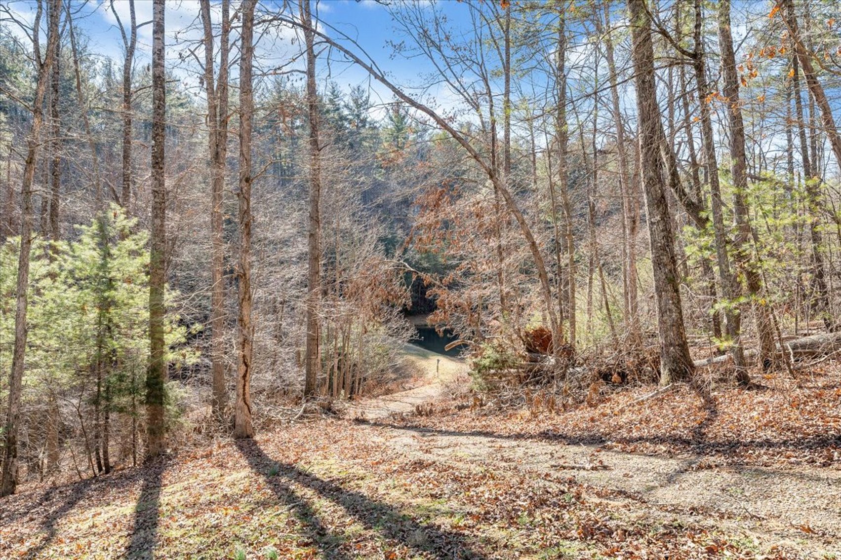 Image for 365 Isolane Road Real Estate Auction