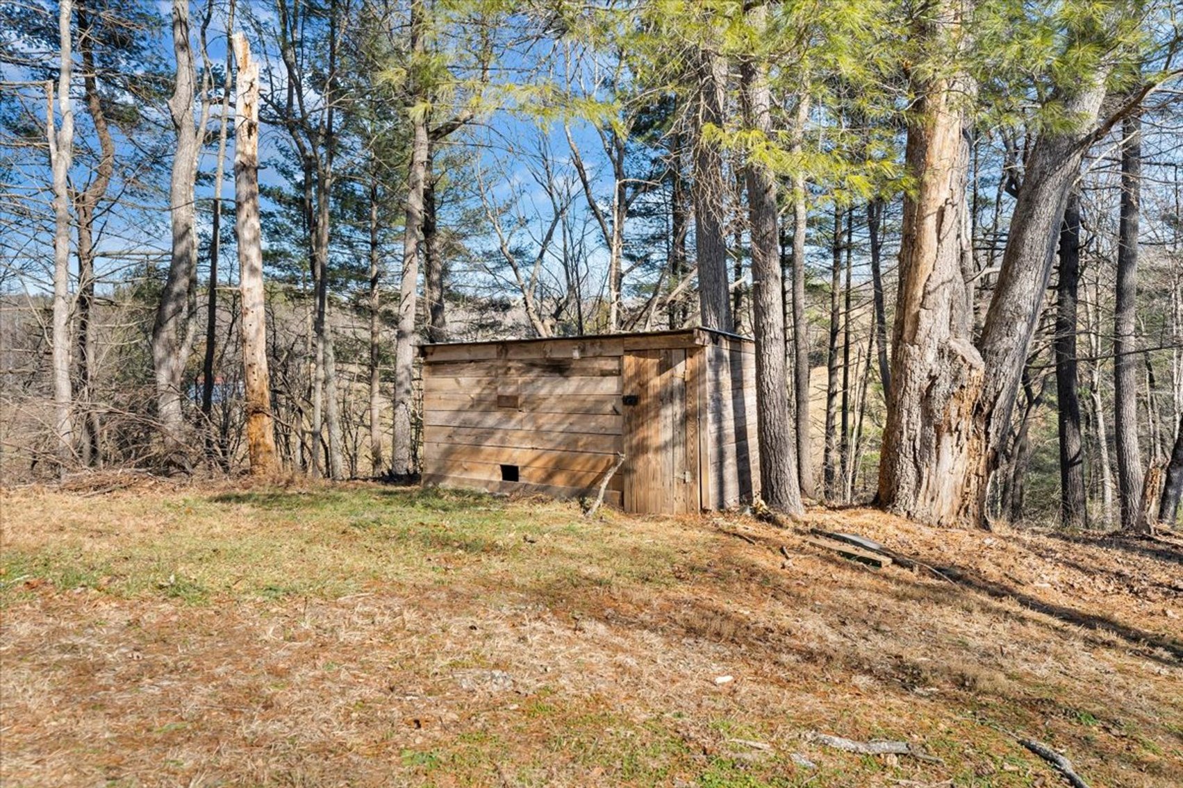 Image for 365 Isolane Road Real Estate Auction