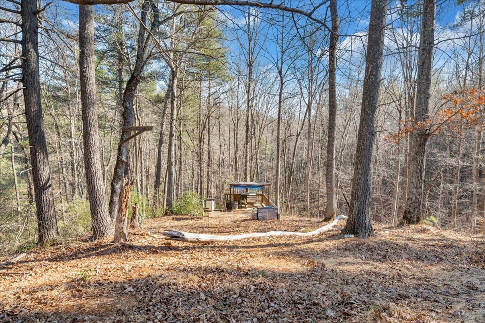 Image for 365 Isolane Road Real Estate Auction