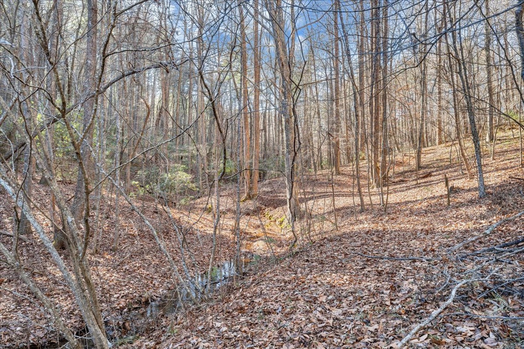 Image for 365 Isolane Road Real Estate Auction