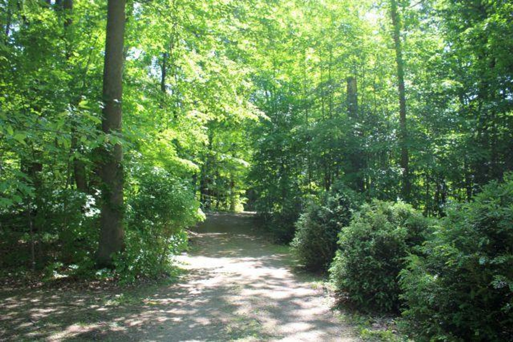 Image for REAL ESTATE AUCTION - MARENGO, OH