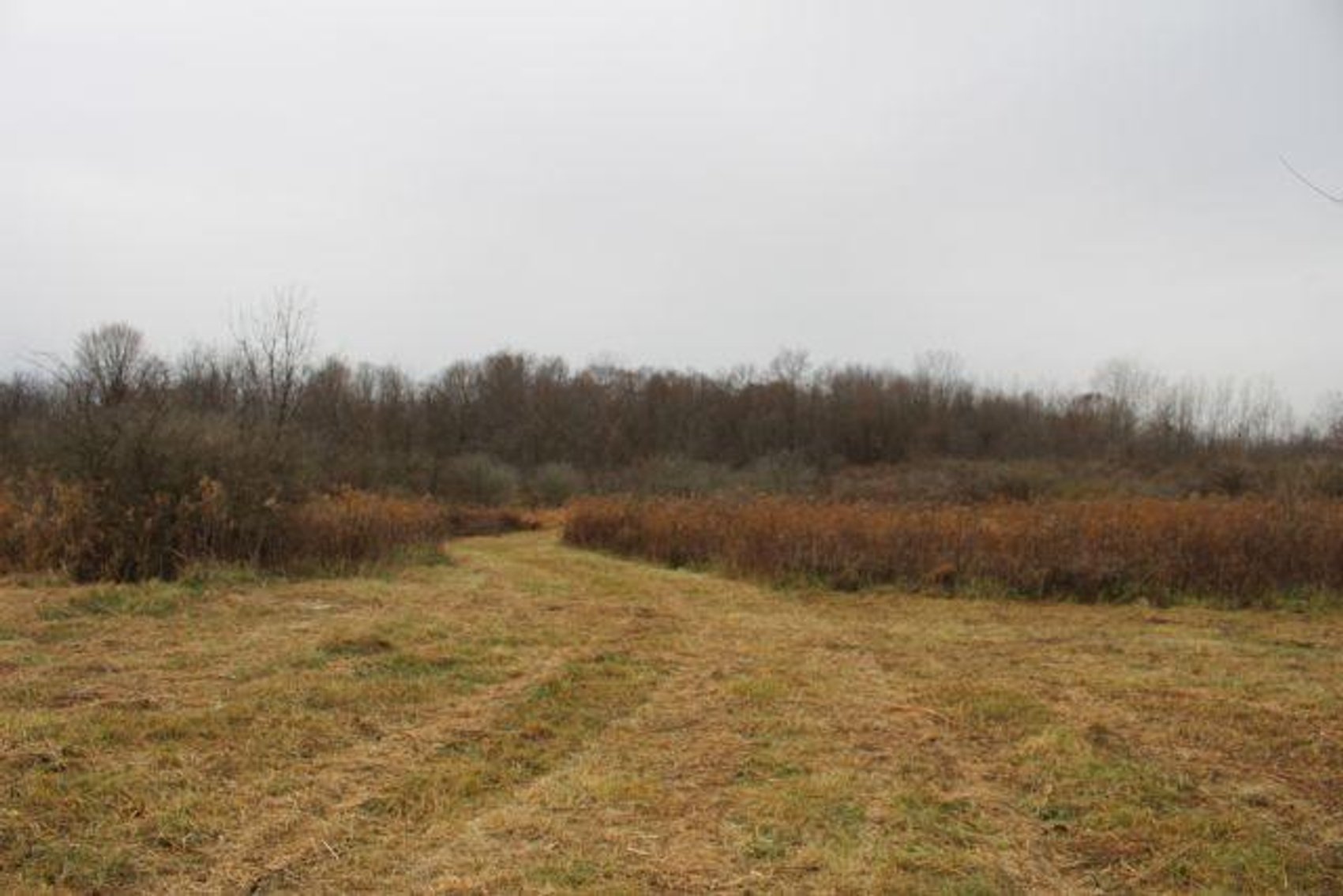 Image for 20 ACRES-HOUSE-OUTBUILDING