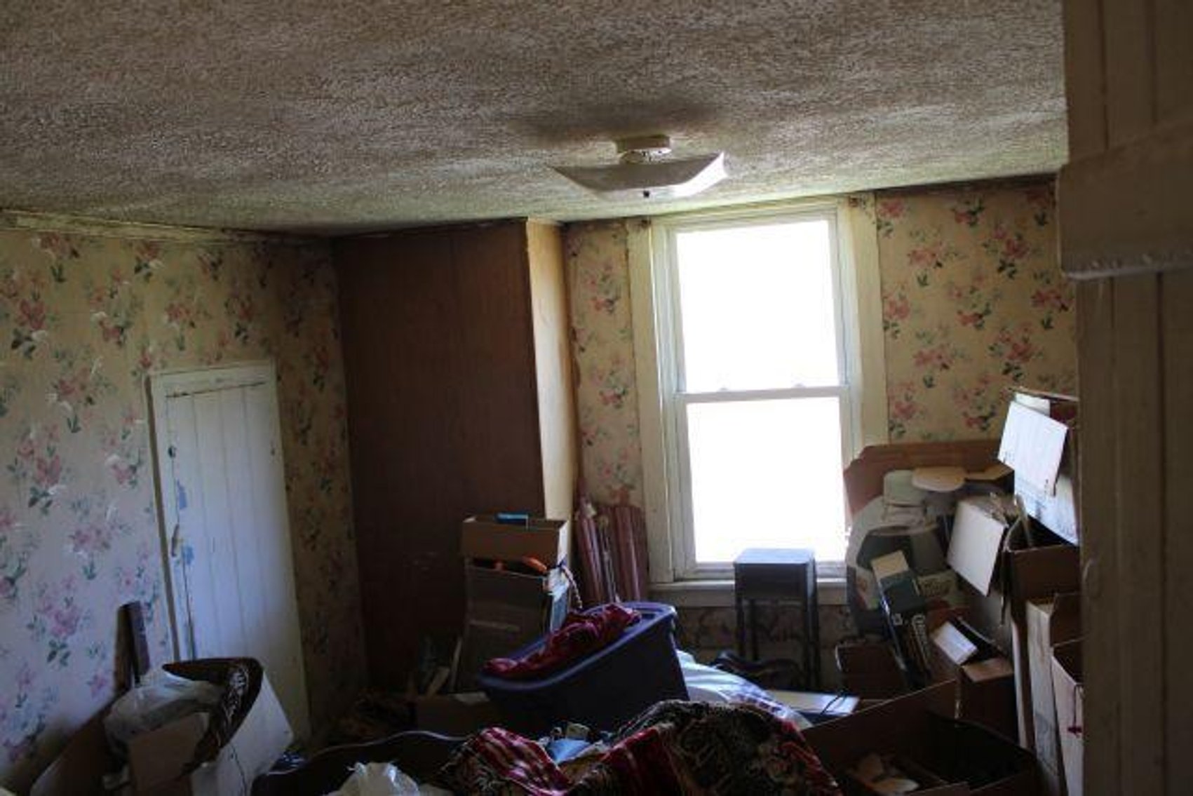 Image for Shirley Doup Estate