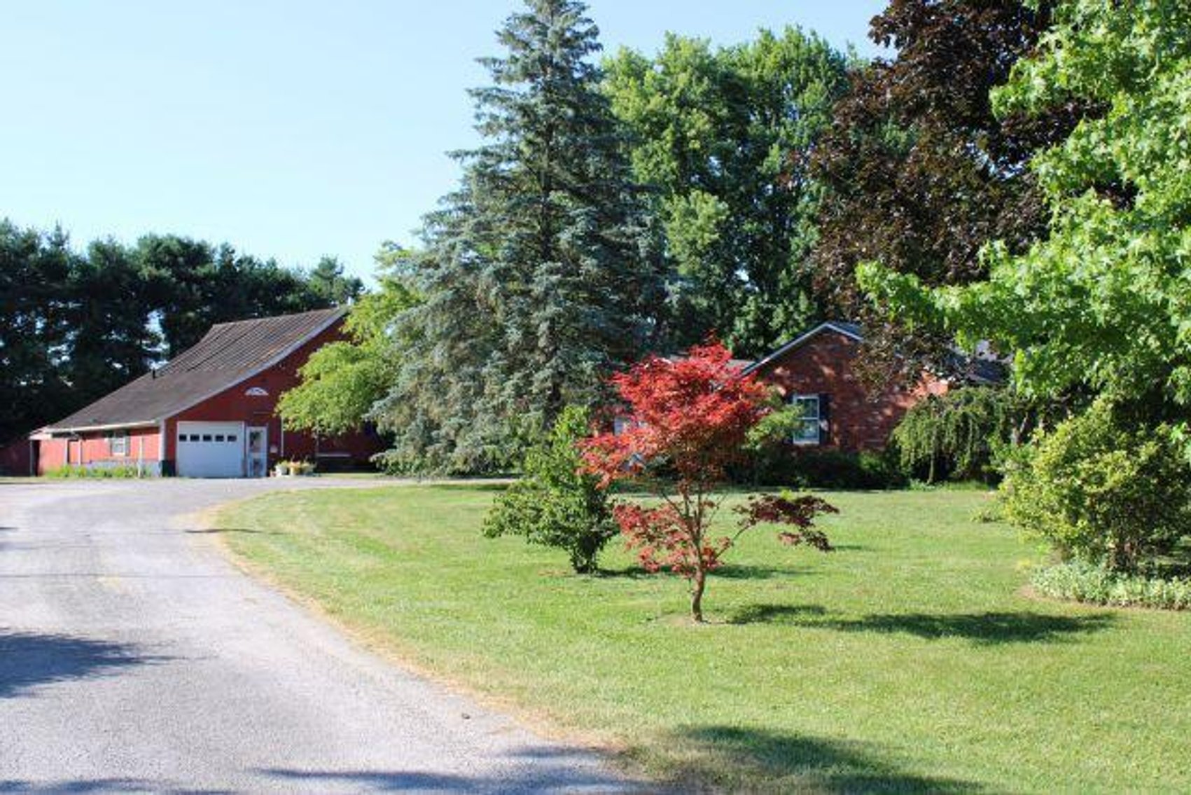 Image for THOMEN REAL ESTATE AUCTION