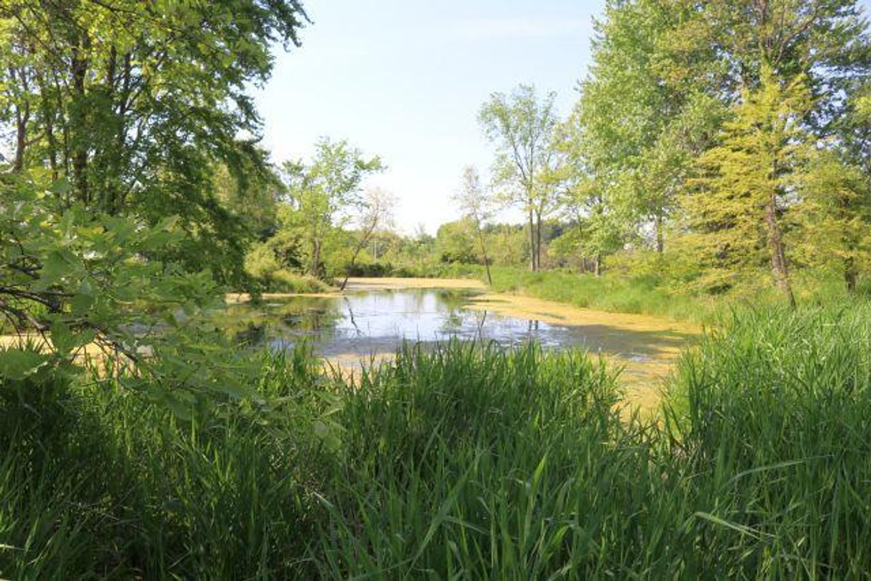 Image for 99 ACRES - HOUSE- POND