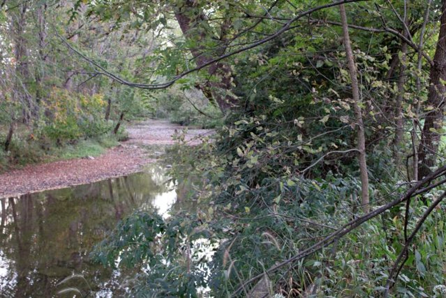 Image for 52+ ACRES - SELLS ABSOLUTE - REGARDLESS OF PRICE