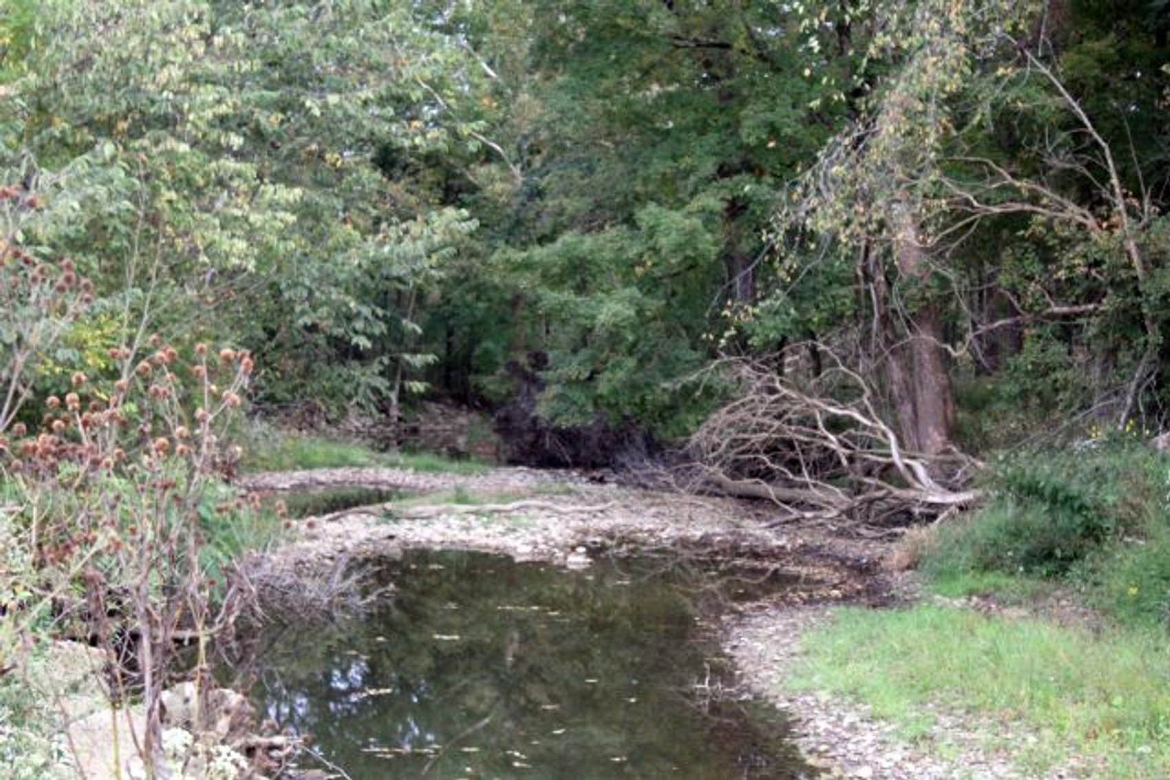 Image for 52+ ACRES - SELLS ABSOLUTE - REGARDLESS OF PRICE