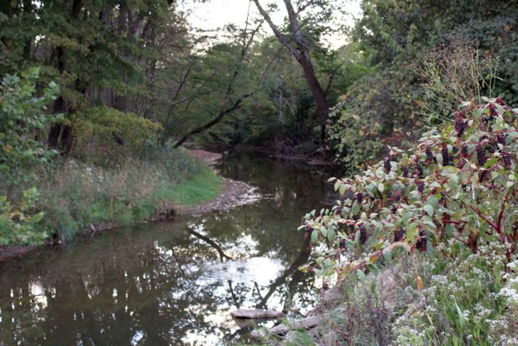 Image for 52+ ACRES - SELLS ABSOLUTE - REGARDLESS OF PRICE