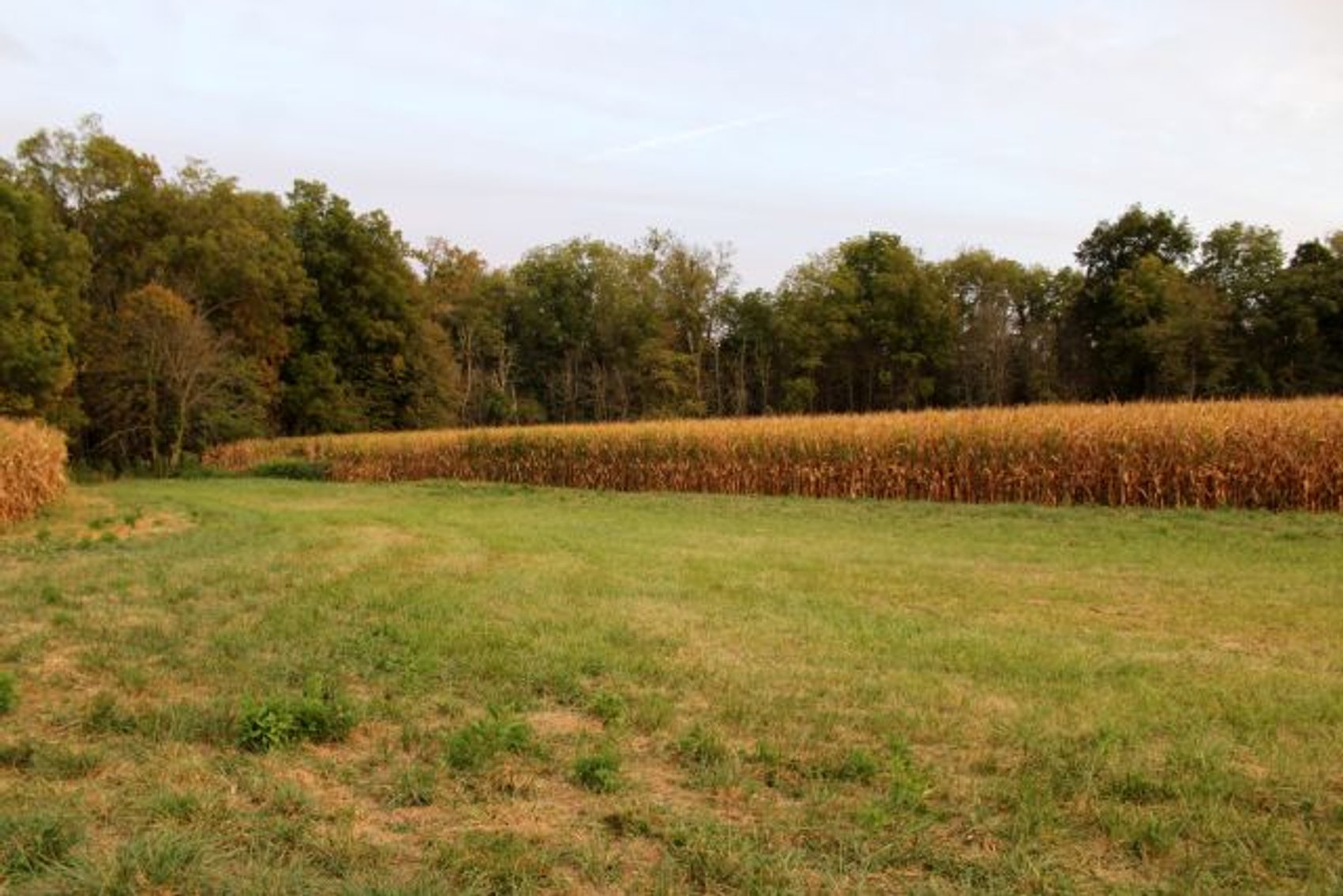 Image for 52+ ACRES - SELLS ABSOLUTE - REGARDLESS OF PRICE