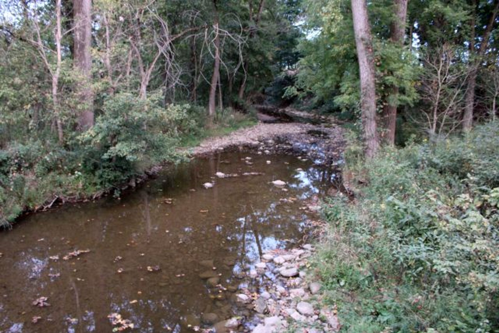 Image for 52+ ACRES - SELLS ABSOLUTE - REGARDLESS OF PRICE