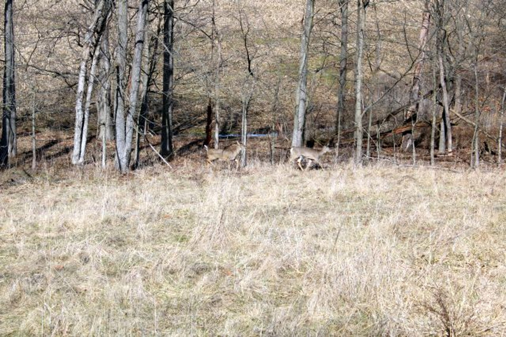 Image for 14081 Monroe Mills Rd Howard, OH. 43028