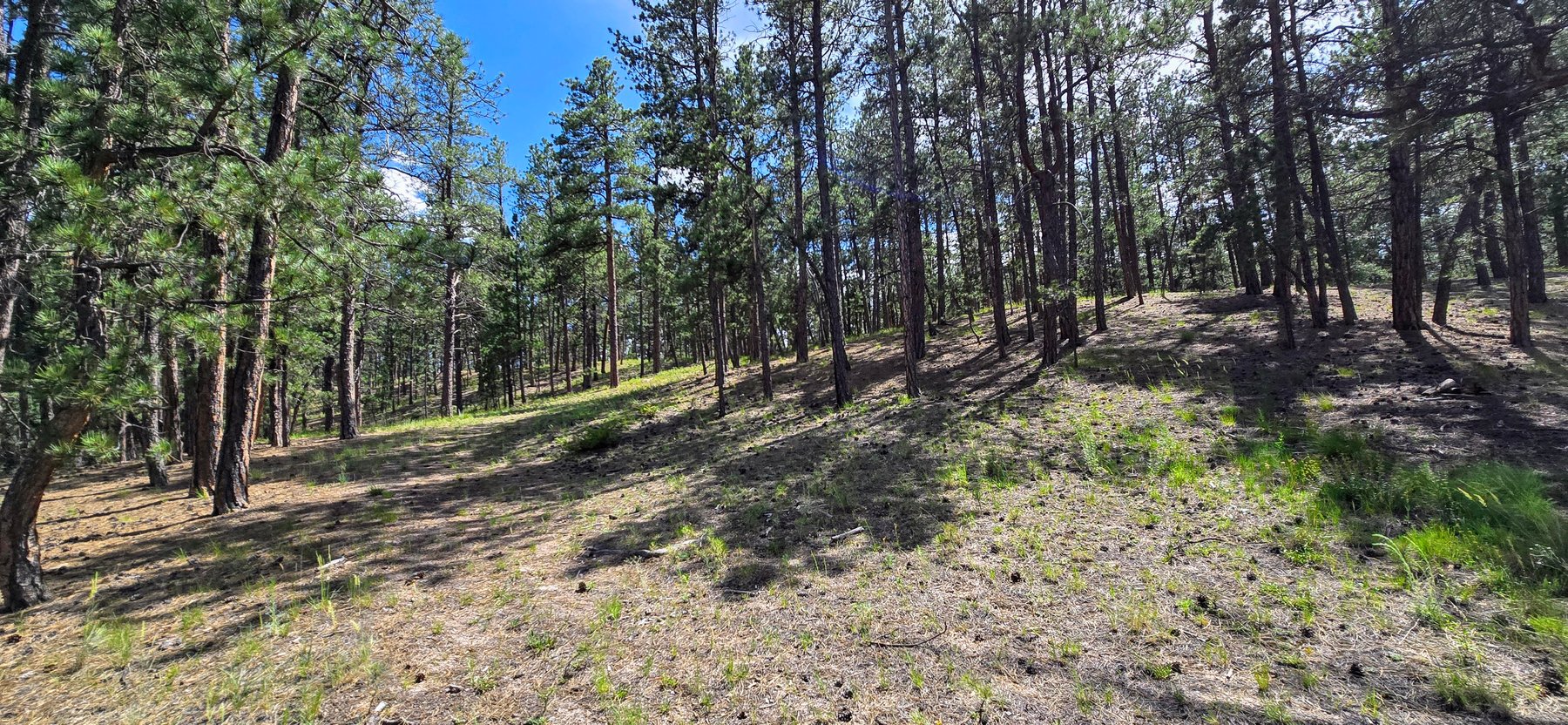 Image for Your dream home location in the Black Forest