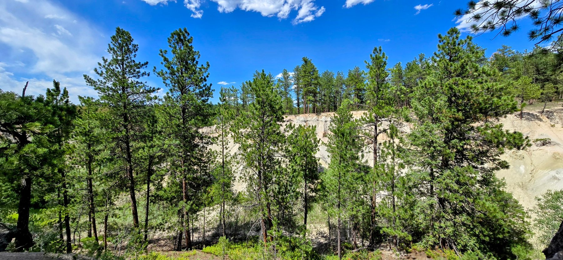 Image for Your dream home location in the Black Forest