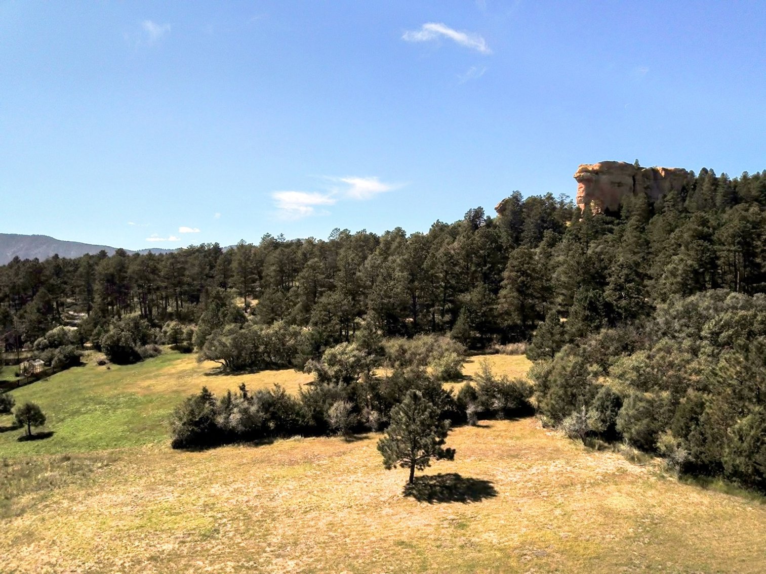 Image for Capella Dr Real Estate Auction