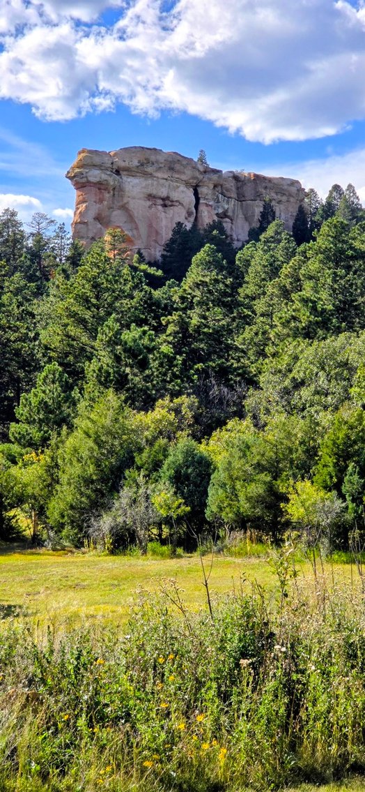 Image for Capella Dr Real Estate Auction