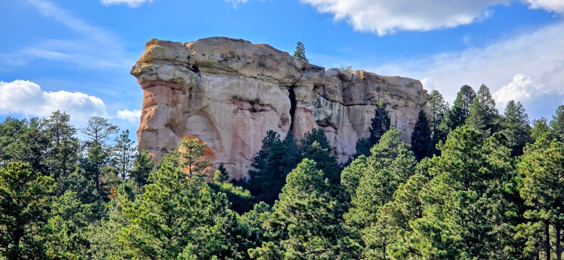 Image for Capella Dr Real Estate Auction