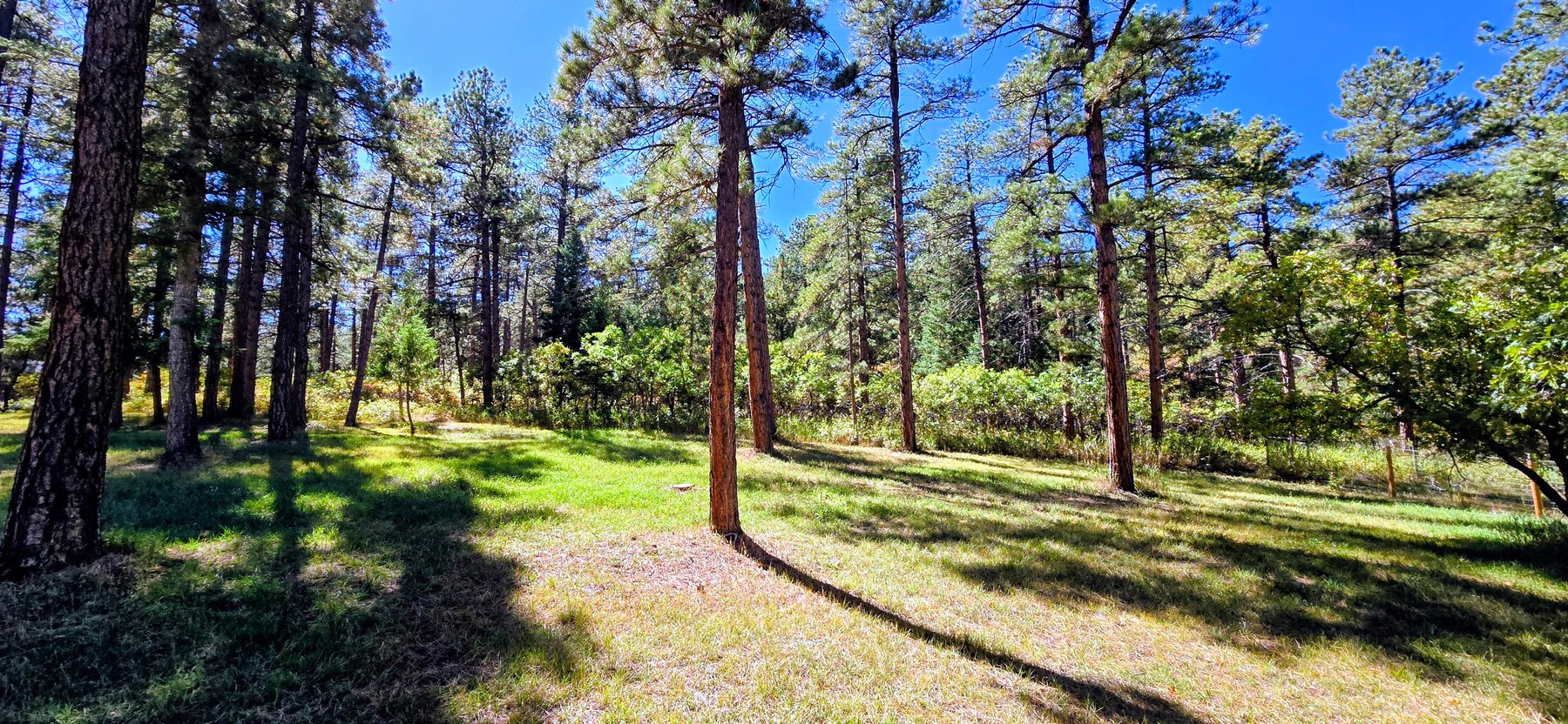 Image for 8057 Bannock Dr, Larkspur, CO 80118