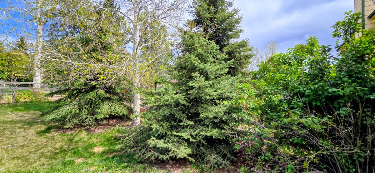Image for 15691 Candle Creek Dr, Monument, CO