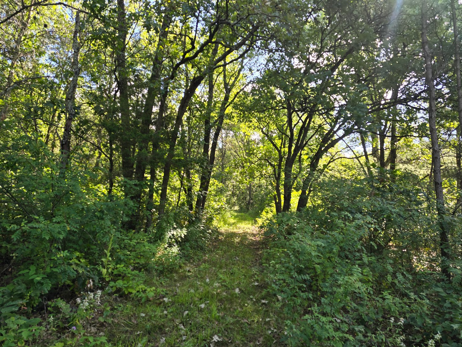 Image for 4.27 Acres State Highway 27, SPARTA Town of Little Falls FOR SALE