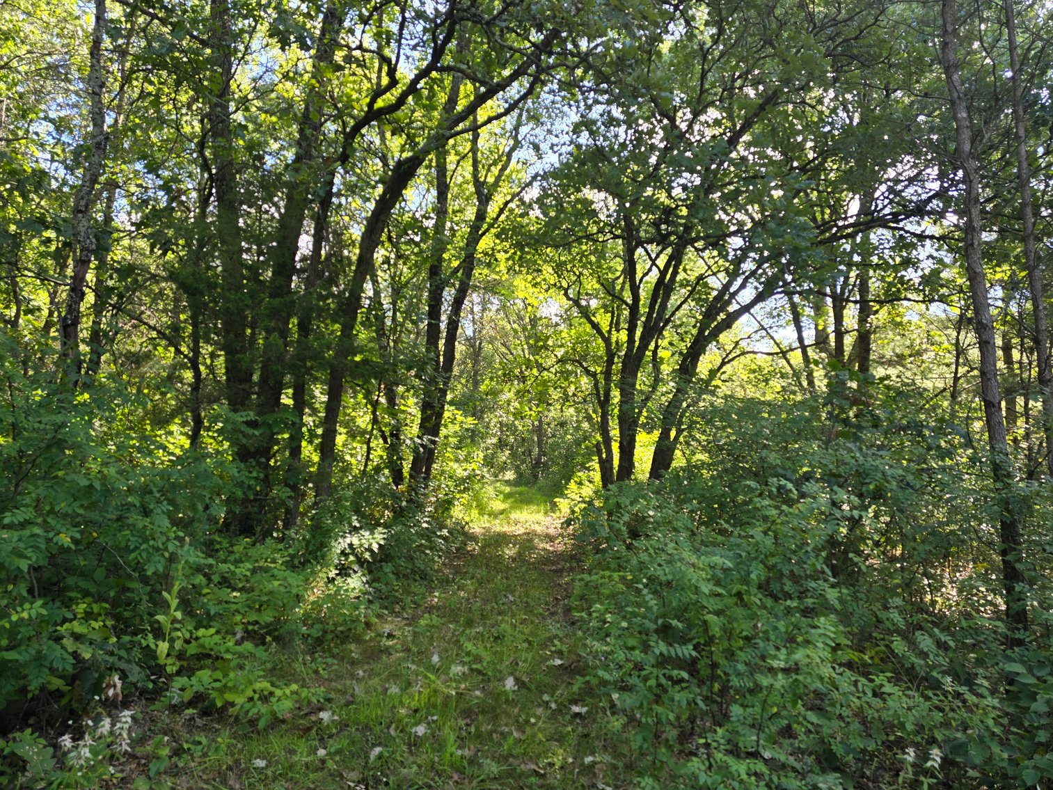 Image for 4.27 Acres State Highway 27, SPARTA Town of Little Falls FOR SALE