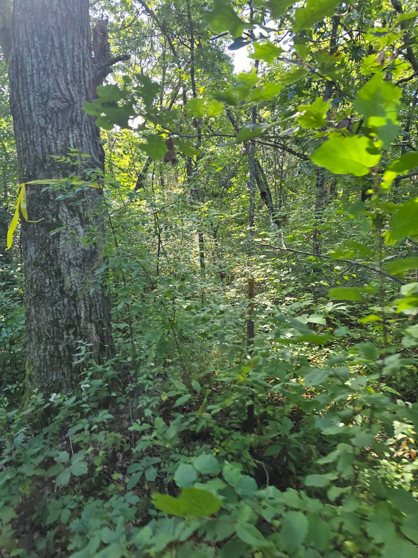 Image for 4.27 Acres State Highway 27, SPARTA Town of Little Falls FOR SALE