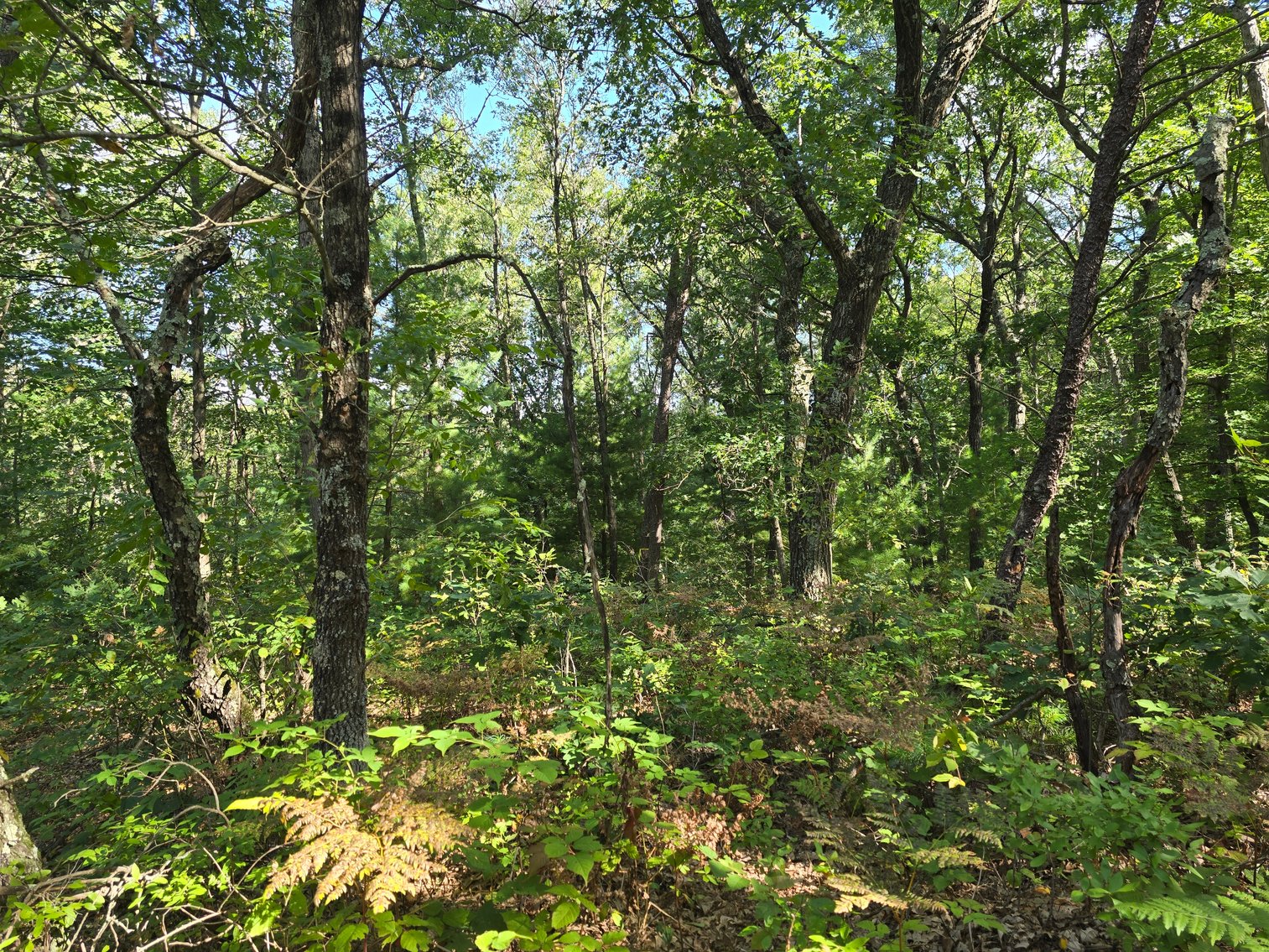 Image for 4.27 Acres State Highway 27, SPARTA Town of Little Falls FOR SALE