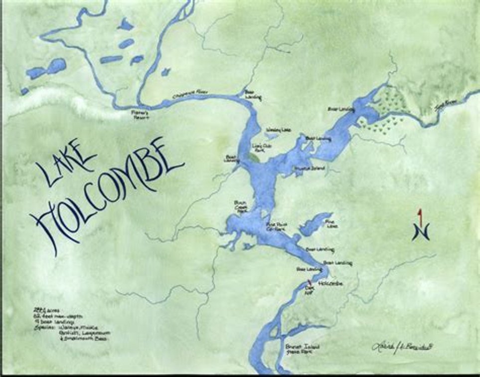 Image for MLS# 2023657 - 26945 295th AVE Lot 2 Holcombe WI 54745