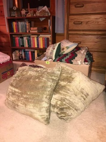 PILLOW LOT