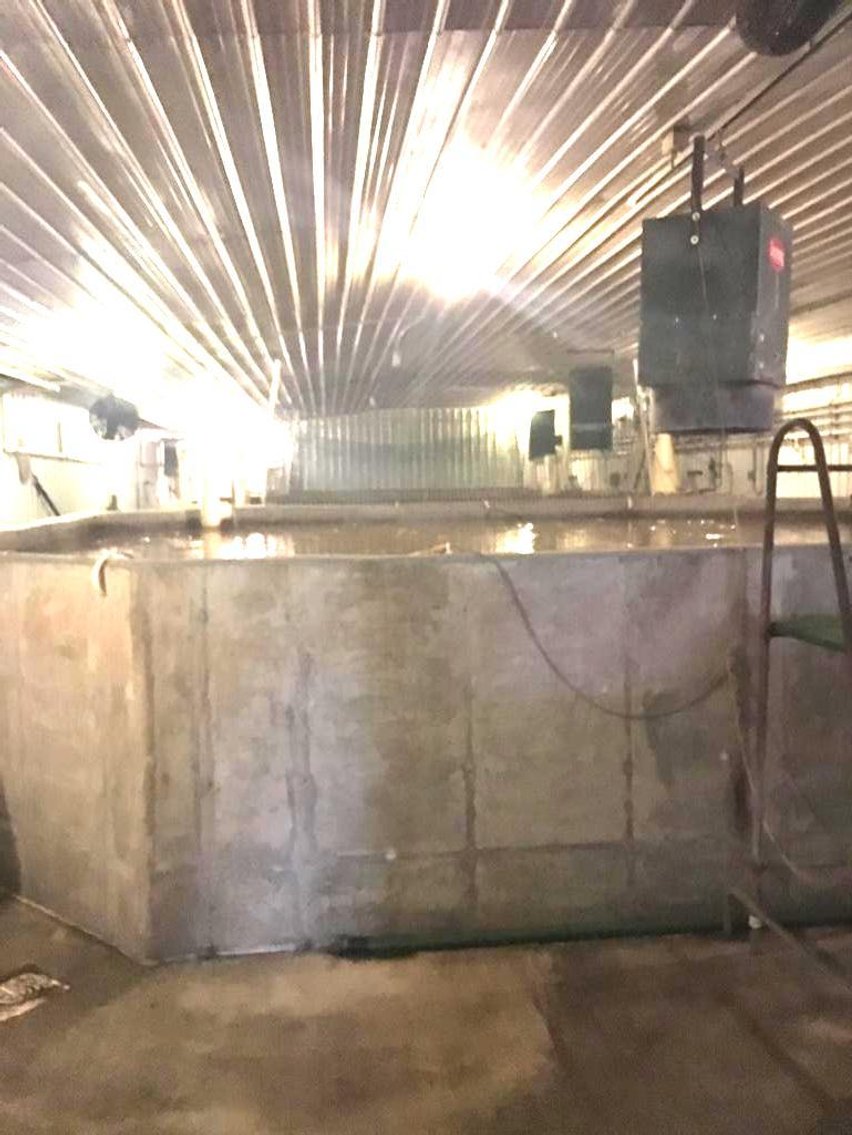 Taylor Fish Farm