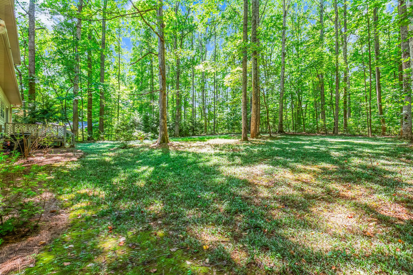 Lewisville Investment Opportunity