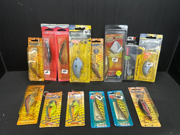Image for Fishing Lures