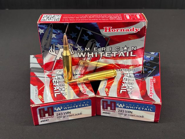 Image for 243 WIN Hornady American Whitetail