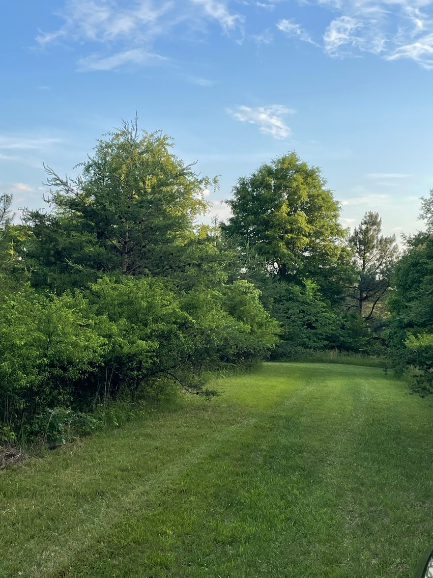 Image for 19.27 Acres On Lavender Ln,  Altavista, VA  24517