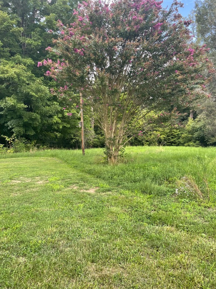 Image for 130 Pine Cone Ct, Monroe, VA 24574