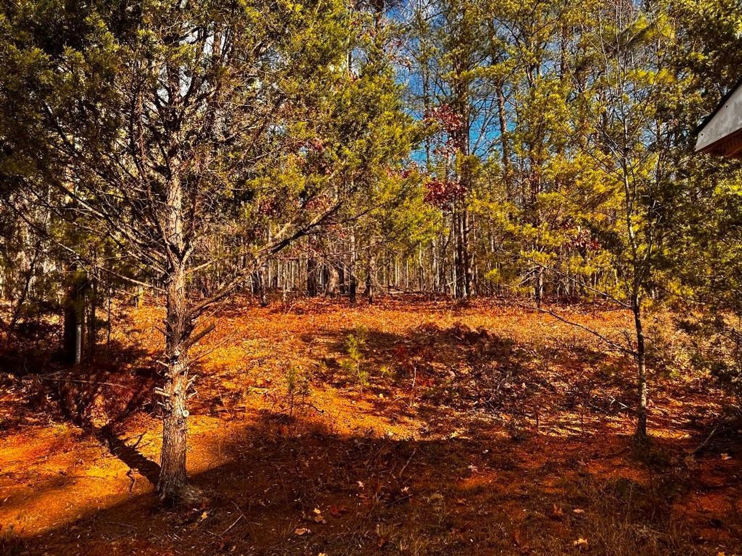 Image for House On 8 +/- Acres Callands VA