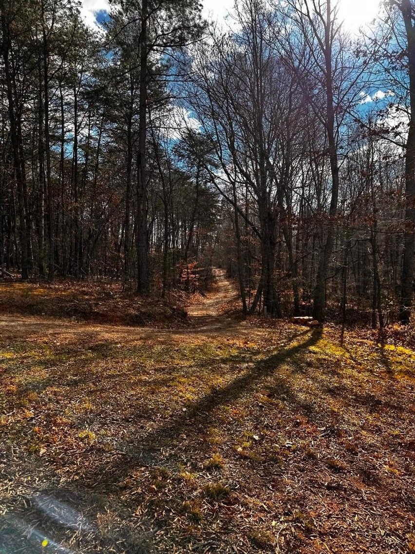 Image for House On 8 +/- Acres Callands VA