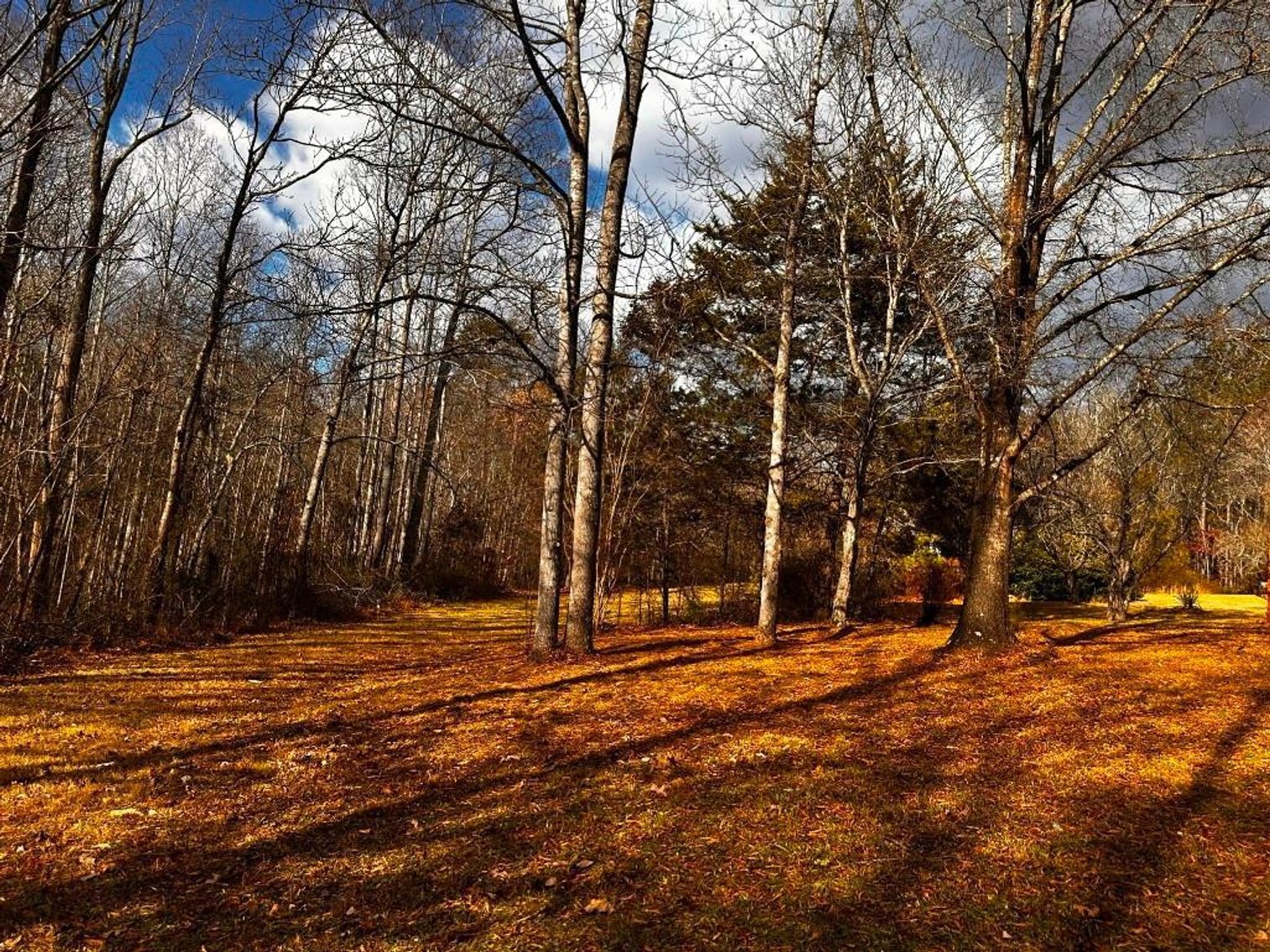 Image for House On 8 +/- Acres Callands VA