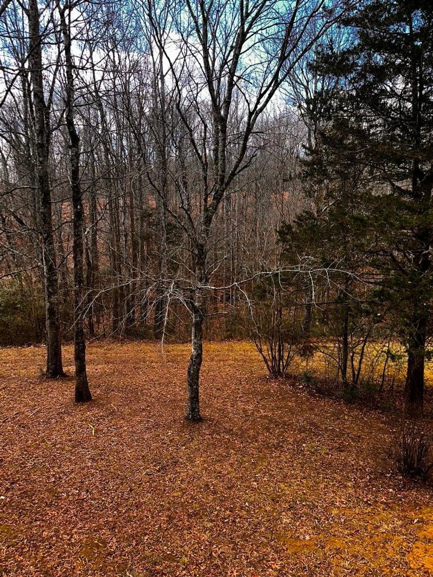 Image for House On 8 +/- Acres Callands VA