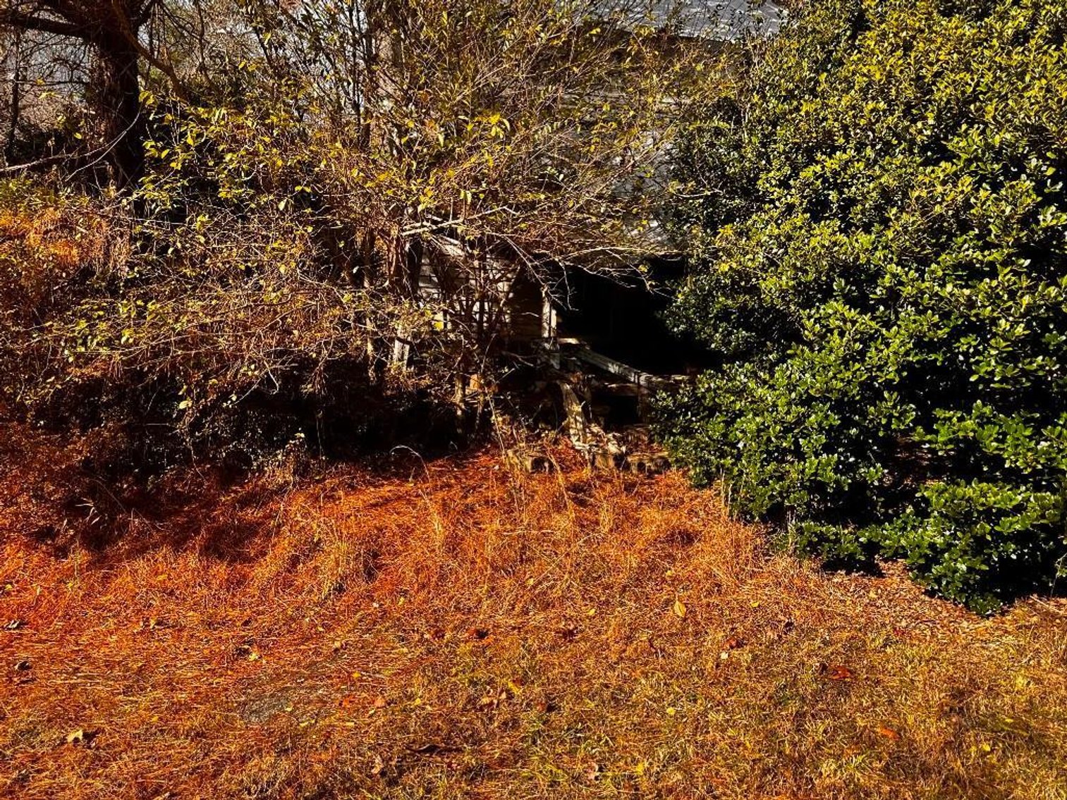 Image for House On 8 +/- Acres Callands VA